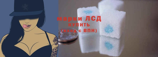 мескалин Богданович